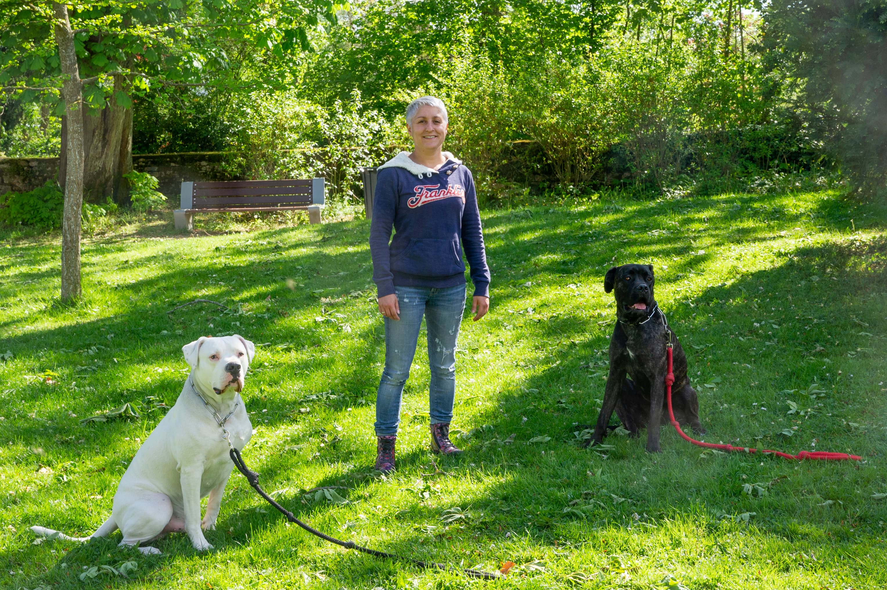 Balade avec les chiens